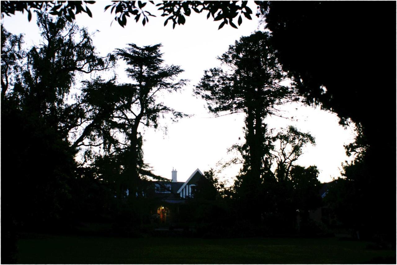 האריסמית Shady Pines Guest House מראה חיצוני תמונה